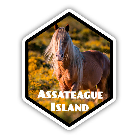 Assateague Island Sticker