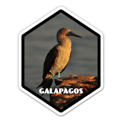 Galapagos Sticker