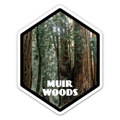 Muir Woods Sticker