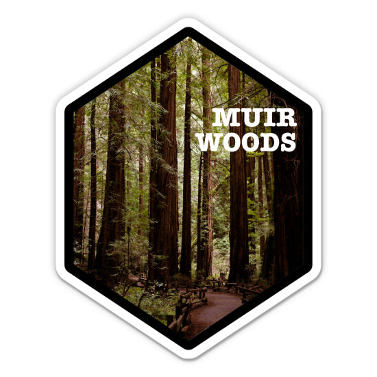 Muir Woods Sticker
